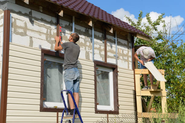 Best Steel Siding Installation  in Scenic, AZ