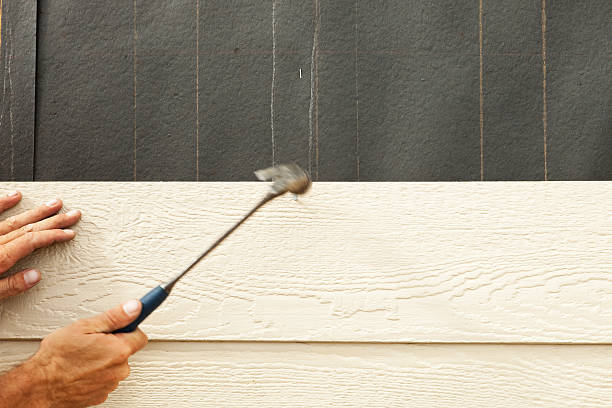 Best Storm Damage Siding Repair  in Scenic, AZ